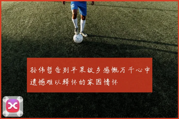 孙伟哲告别平果故乡感慨万千心中遗憾难以释怀的家园情怀