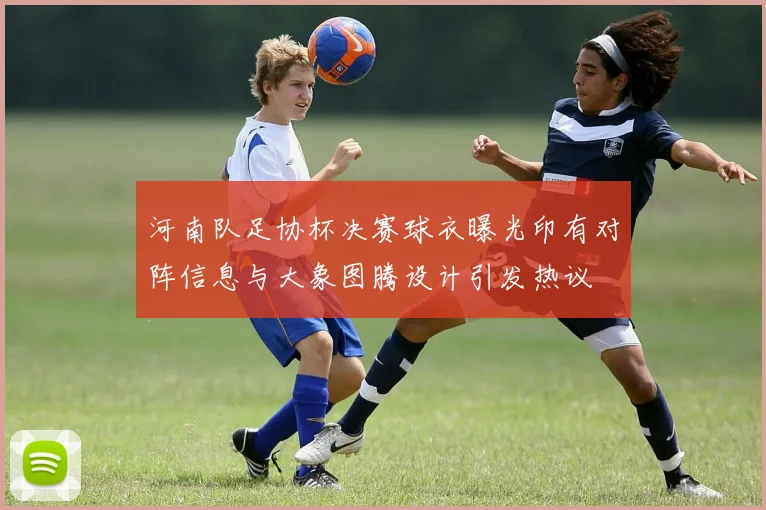 河南队足协杯决赛球衣曝光印有对阵信息与大象图腾设计引发热议