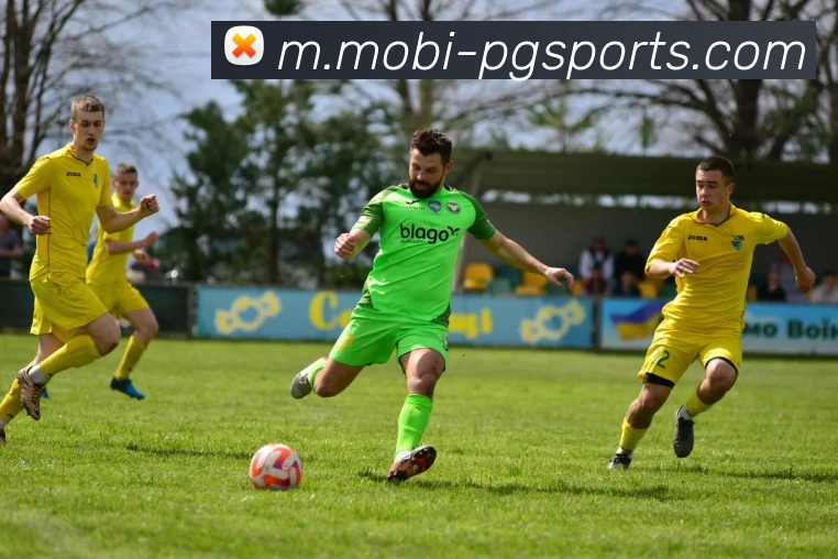 南宫体育APP 封面图